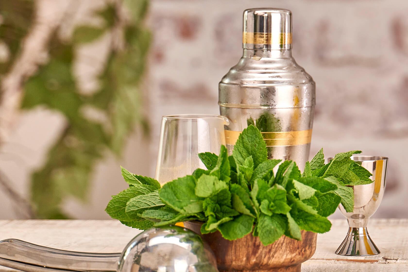 shaker and bowl of mint