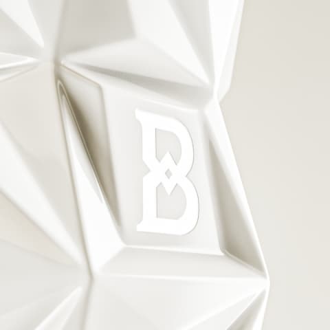 b10 bottle logo